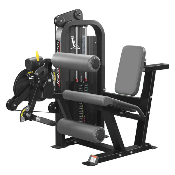 Seated Leg Curl / Extension Combo.