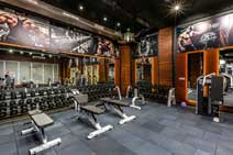 F2F Gym - Batala - Punjab