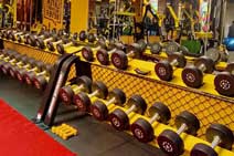 Prime Fitness Gym - Nagpur